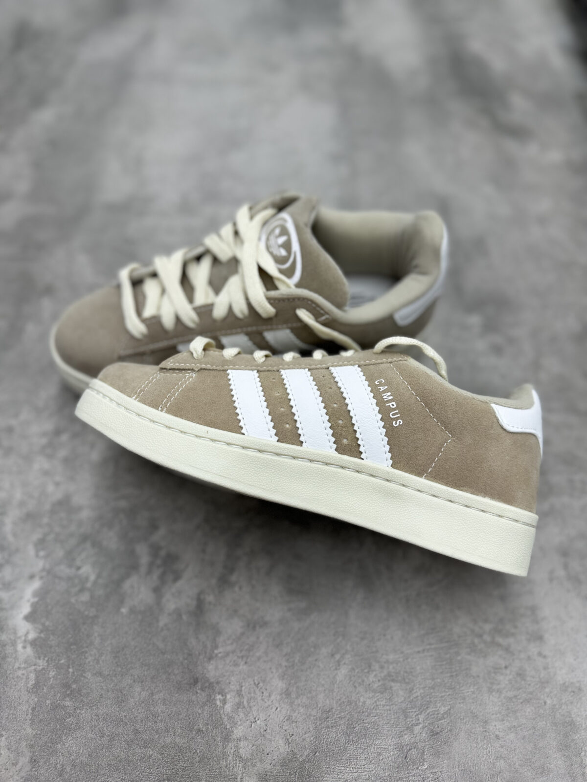 CAMPUS BEIGE